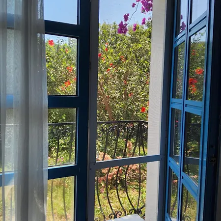 Ladonia Zemda 3* Gümüşlük