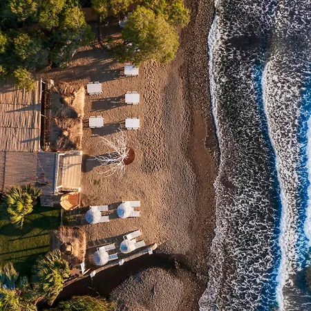 Ladonia Zemda Gümüşlük