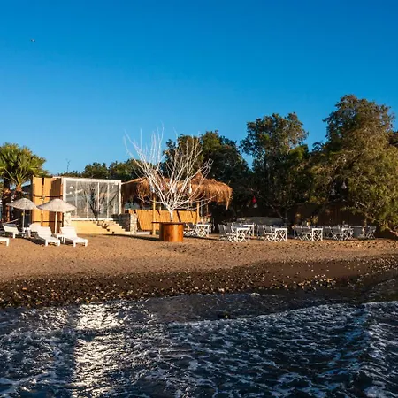 Ladonia Zemda Hotell