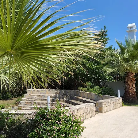 Ladonia Zemda * Gümüşlük